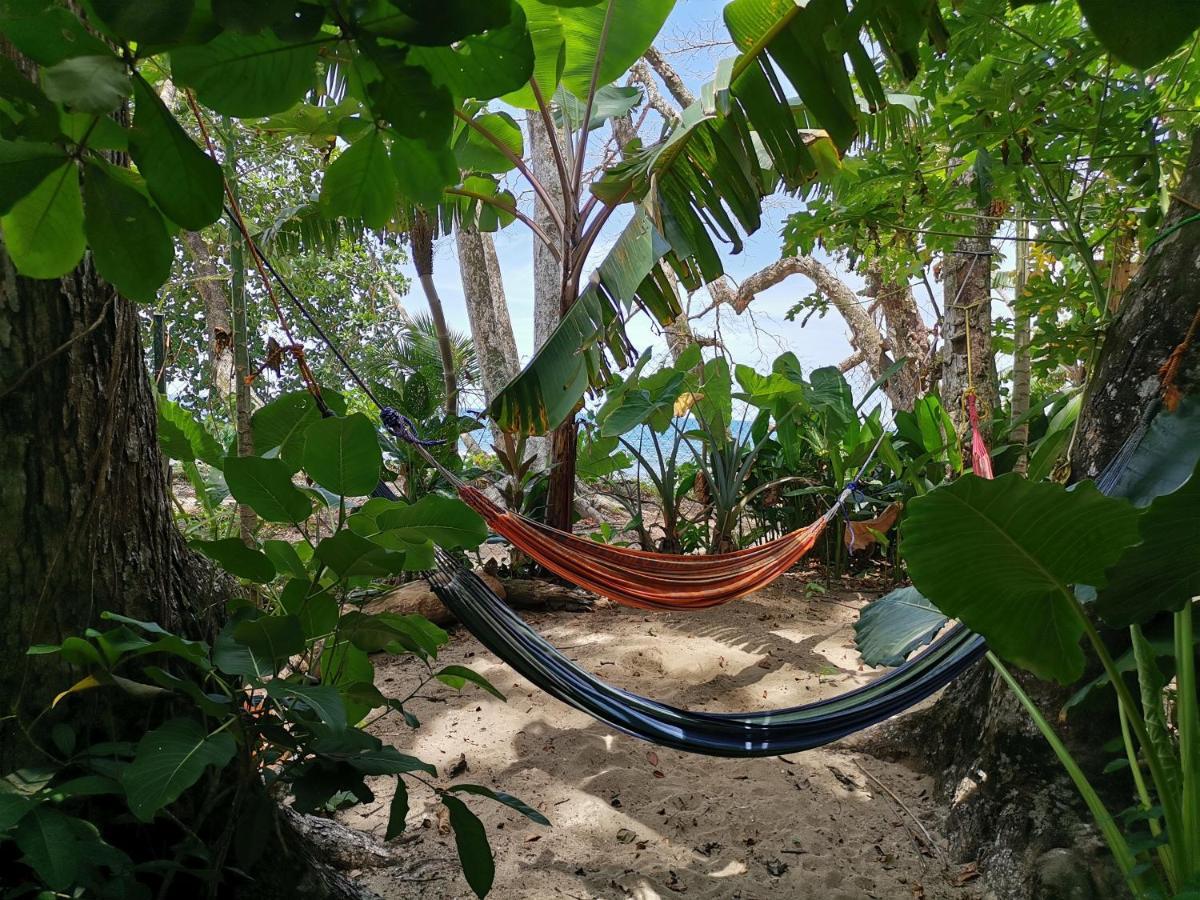 פוארטו לימון Oasis Beachfront Hostel מראה חיצוני תמונה
