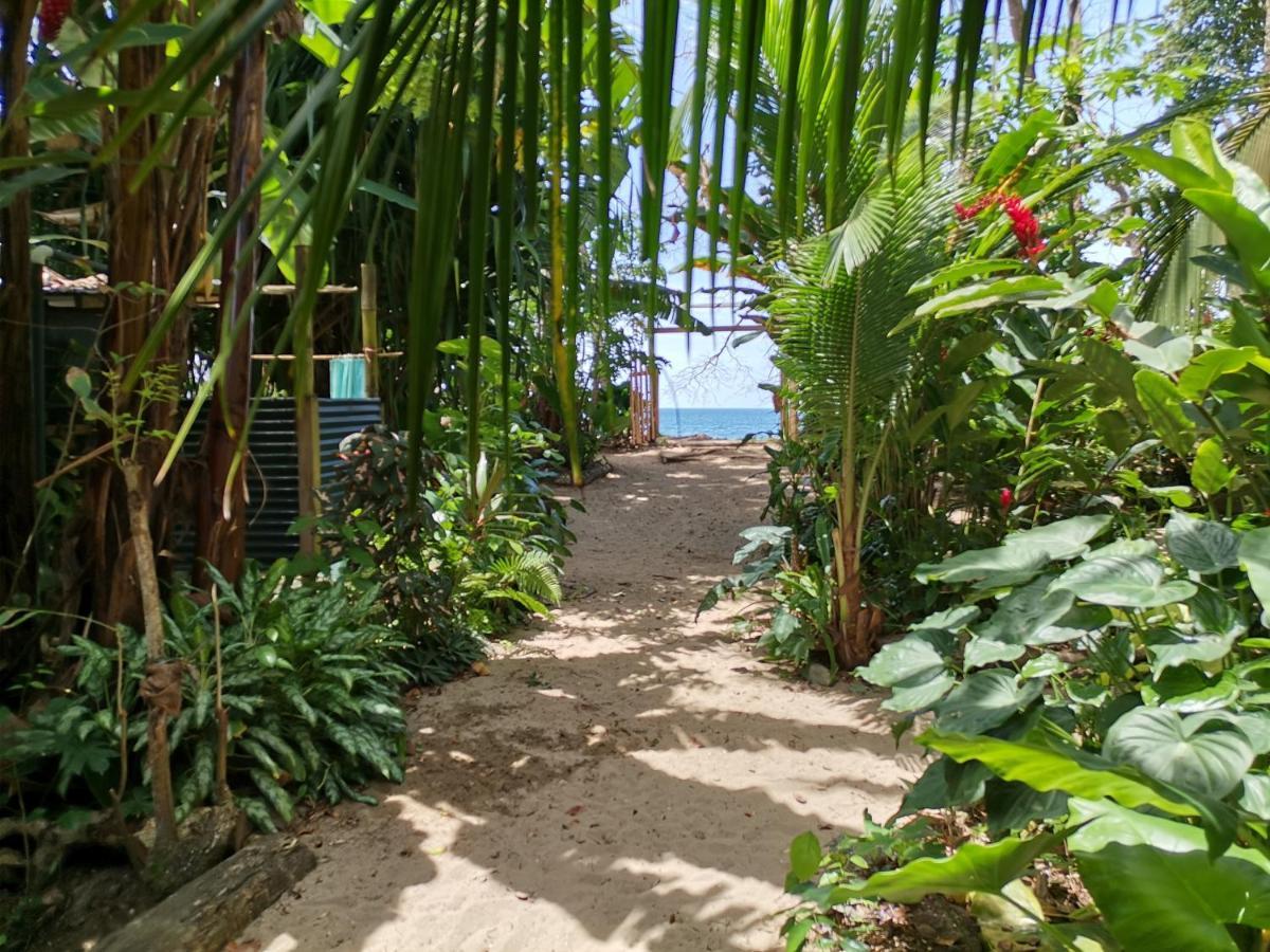 פוארטו לימון Oasis Beachfront Hostel מראה חיצוני תמונה