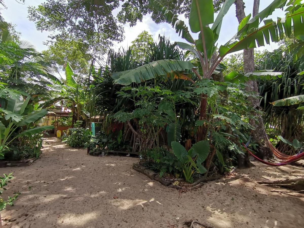 פוארטו לימון Oasis Beachfront Hostel מראה חיצוני תמונה