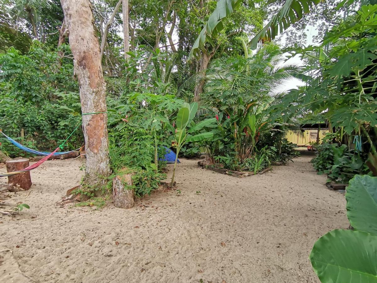 פוארטו לימון Oasis Beachfront Hostel מראה חיצוני תמונה
