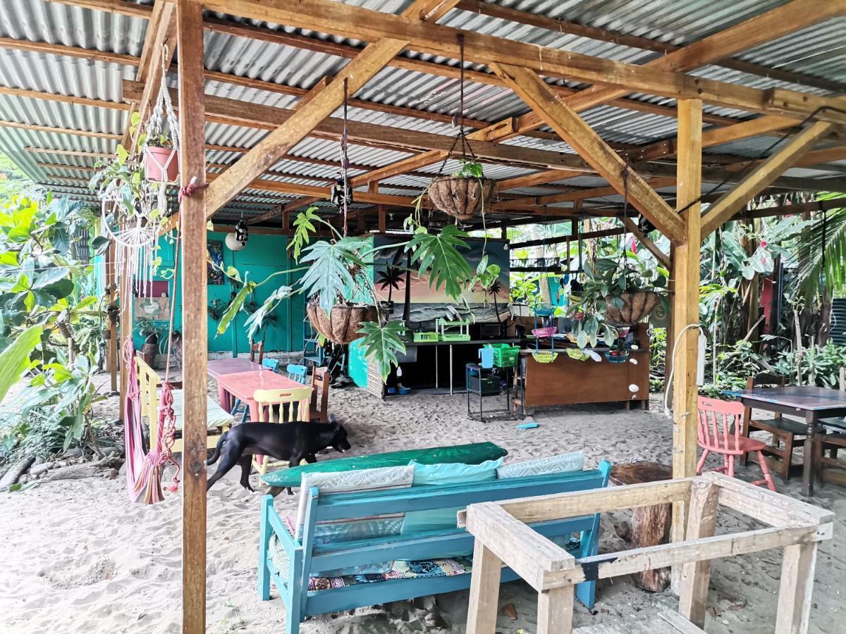 פוארטו לימון Oasis Beachfront Hostel מראה חיצוני תמונה